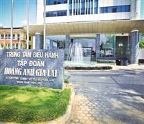 HAG: HAGL tổ chức họp ĐHĐCĐ sớm hơn dự kiến