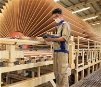 Chủ động thích ứng thị trường – Định vị chiến lược phát triển sản phẩm gỗ chất lượng cao