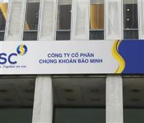 BMS: Sắp phát hành 7,8 triệu cổ phiếu thưởng