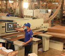 Ngành gỗ VRG chủ động tái cấu trúc – Hướng tới mô hình sản xuất bền vững, hiện đại