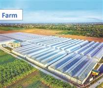 PAN Farm báo lãi ròng hơn 1,6 tỷ đồng mỗi ngày