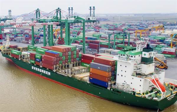 VSC: Viconship chốt ngày đăng ký nhận cổ tức năm 2024 và cổ 