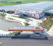 MSH: May Sông Hồng dự kiến phát hành hơn 37,5 triệu cổ phiếu thưởng