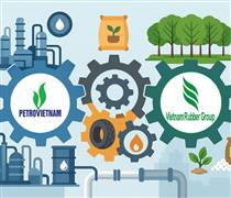 Petrovietnam và VRG kết nối chuỗi giá trị để tăng trưởng xanh