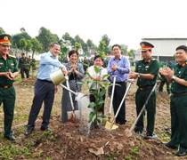 PV Drilling hưởng ứng ‘Tết trồng cây đời đời nhớ ơn Bác Hồ’ tại TP. Cần Thơ