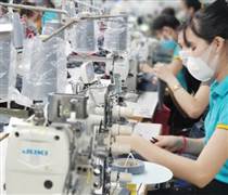 TCM: Doanh thu xuất khẩu vào Mỹ chiếm 21% trong tháng 4