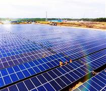 BGE: Lãnh đạo BCG Energy muốn thoái vốn trước thềm ĐHĐCĐ