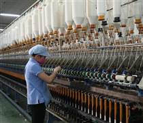VGT: Dự trình lãi 910 tỷ đồng trong năm 2025, không chia cổ tức