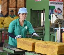 VRG xây dựng thương hiệu từ giá trị bền vững