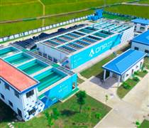 Saigon Water sau 2 năm về chung nhà với DNP Water