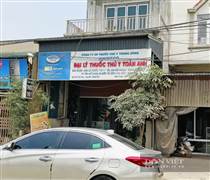 Nỗi lo dịch tả lợn châu Phi: Nhân viên hướng dẫn người dân tiêm vaccine cho cả lợn nái, Công ty Navetco giải thích như thế nào? (Bài 2)