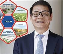Một tổ chức trong nước bán cổ phiếu THACO với mức định giá chỉ 4 tỷ USD trước thời điểm đề xuất đầu tư Đường sắt cao tốc Bắc – Nam