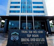 HAG: Bầu Đức nguy cơ trượt lãi trăm tỷ vì lỡ làn sóng tăng giá heo?