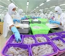 FMC: Tăng doanh số nhờ 'nước rút thuế' - Cuộc đua gấp rút trước ngày 09/07