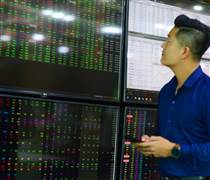 'Cá mập' đang bỏ lỡ cơ hội kiếm tiền từ thị trường chứng khoán?