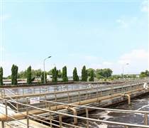 SDV:  Chi cổ tức tiền mặt tỷ lệ 30%