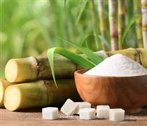 Giá bán giảm, ngành mía đường “bớt ngọt”