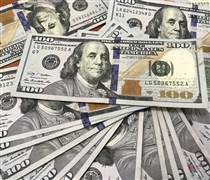 Tỷ giá USD hôm nay (8-6): Đồng USD trải qua một tuần biến động