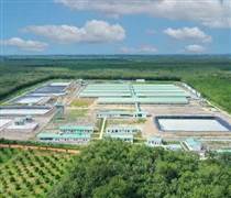 BAF: Baf Việt Nam muốn chuyển nhượng một công ty con