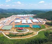 BAF: Đề xuất xây hai dự án cao tầng nuôi lợn đầu tiên tại Việt Nam