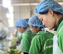 Lời than của bầu Đức "Tìm sếp nông trường còn khó hơn sếp ngân hàng" hé lộ "cơn khát" nhân tài nông nghiệp