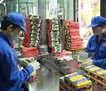 PHN: Pin Hà Nội sắp tạm ứng cổ tức bằng tiền, tỉ lệ 20%