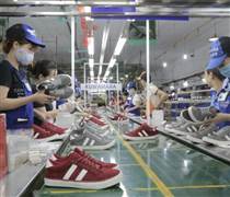 Vang bóng một thời, Giày Thượng Đình nay bị nghi ngờ khả năng hoạt động liên tục