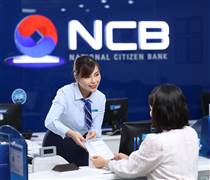 NVB: Danh tính 17 cá nhân đăng ký mua 750 triệu cổ phiếu NVB phát hàng riêng lẻ