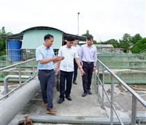 TRC: Cao su Tây Ninh tăng trưởng xanh gắn liền với phát triển bền vững và trách nhiệm xã hội