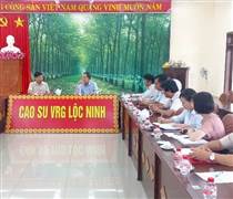GVR: Cao su Lộc Ninh tăng trưởng xanh gắn với phát triển bền vững và trách nhiệm xã hội