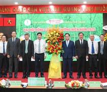 GVR: Sẽ đầu tư thêm 70.000 ha cao su tại Lào, Campuchia