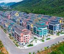 CEO: Phát hành 27 triệu cổ phiếu trả cổ tức 2024