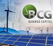 Bộ đôi cổ phiếu “họ” Bamboo Capital bất ngờ thanh khoản đột biến, tăng kịch trần
