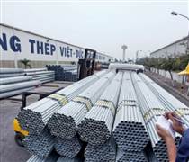 VGS: Chốt quyền nhận cổ tức 2024, đẩy mạnh dự án bất động sản nghìn tỷ