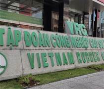 GVR: Miễn nhiệm một nhân sự cấp cao