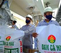 DCM: Đạm Cà Mau chốt ngày chi trả hơn 1.058 tỷ đồng cổ tức năm 2024