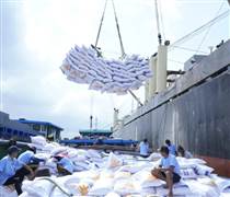 LTG: Lộc Trời vật lộn trong khủng hoảng