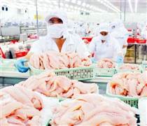 7 doanh nghiệp cá tra Việt được miễn thuế chống bán phá giá tại Mỹ