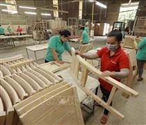 Ngành gỗ: Minh bạch, đáp ứng yêu cầu truy xuất nguồn gốc