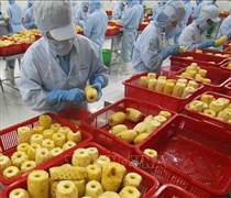 Nông sản giảm giá do áp lực cung cầu