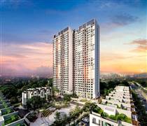 BTH: Chưa từng có - Doanh nghiệp lãi tăng 6.740 lần, chi cổ tức gấp 2,6 lần vốn điều lệ