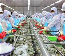 80% doanh nghiệp Việt Nam đã chủ động ứng phó với tác động từ thuế quan của Hoa Kỳ