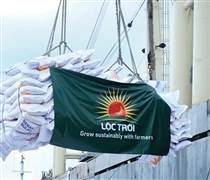 LTG: Lộc Trời chật vật tìm lối thoát