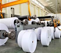Ngành giấy giằng co, kỳ vọng bứt tốc từ quý II/2025