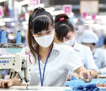 TNG: Cán mốc 50% kế hoạch doanh thu, đơn hàng kín lịch đến cuối năm