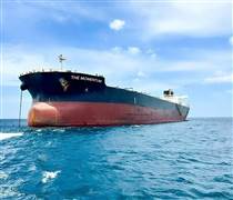 Tỷ phú Trần Đình Long khai thác tàu hàng rời lớn nhất từ trước tới nay, tải trọng 110.000 DWT