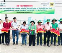Bình Điền đẩy mạnh Dự án "Xây dựng mô hình canh tác lúa giảm phát thải phục vụ phát triển bền vững"