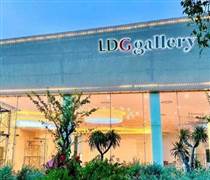 LDG: Nói gì về việc cổ phiếu tăng trần 5 phiên liên tiếp?
