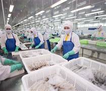 FMC: Doanh số nửa đầu năm 2025 đạt 135,6 triệu USD, tăng 43%