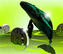 Hai ví từ thời Satoshi di chuyển 20,000 Bitcoin sau 14 năm im lặng